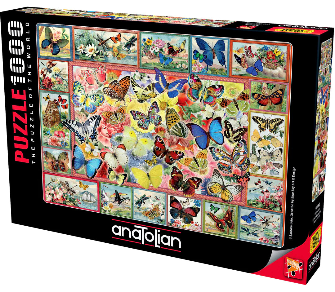 Anatolian - Beaucoup de papillons