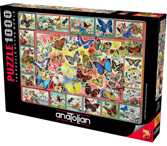 Anatolian - Beaucoup de papillons