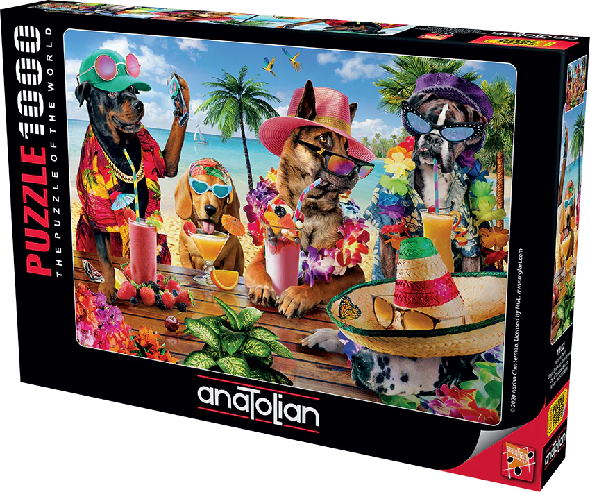 Anatolian - Chiens buvant des smoothies sur une plage tropicale