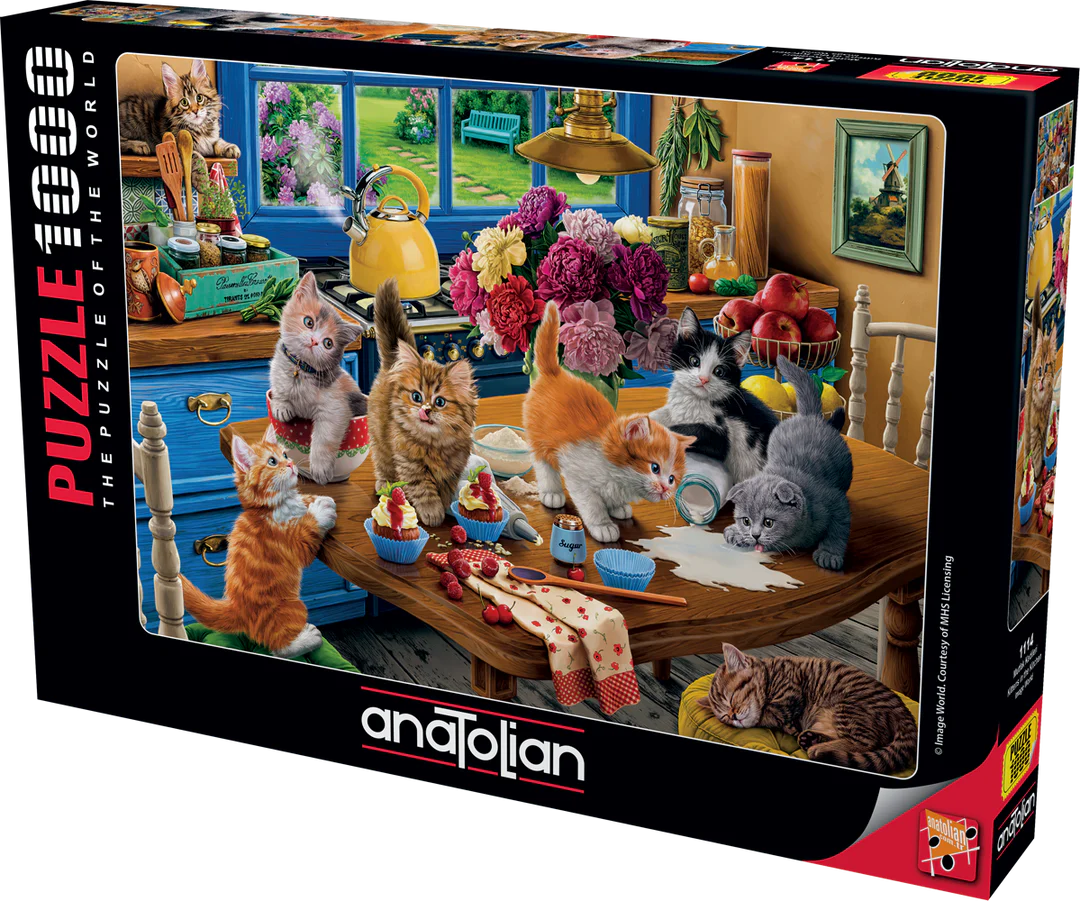 Anatolian - Chatons dans la cuisine