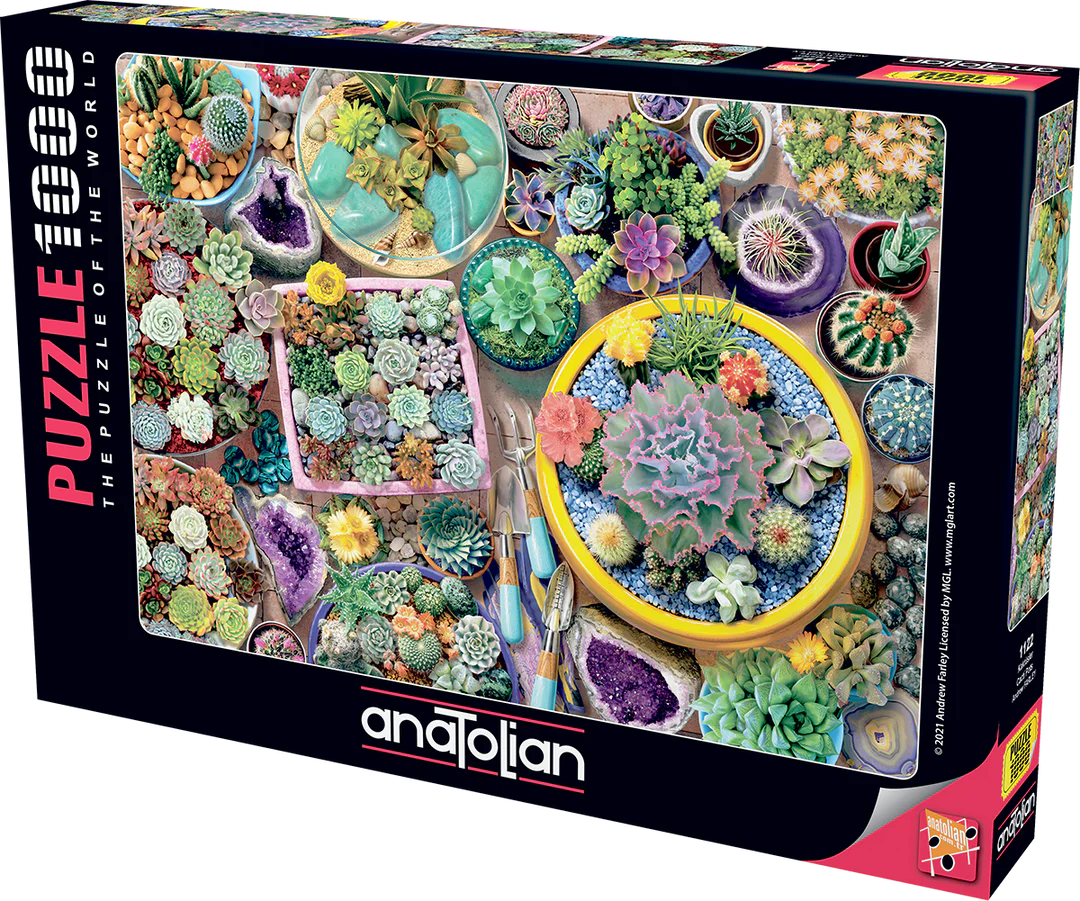 Anatolian - Pots à cactus