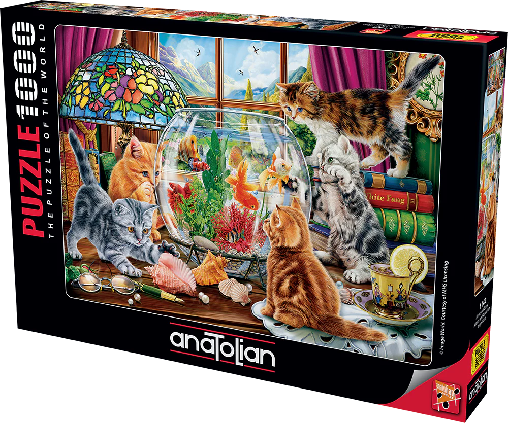 Anatolian - Chatons et aquarium