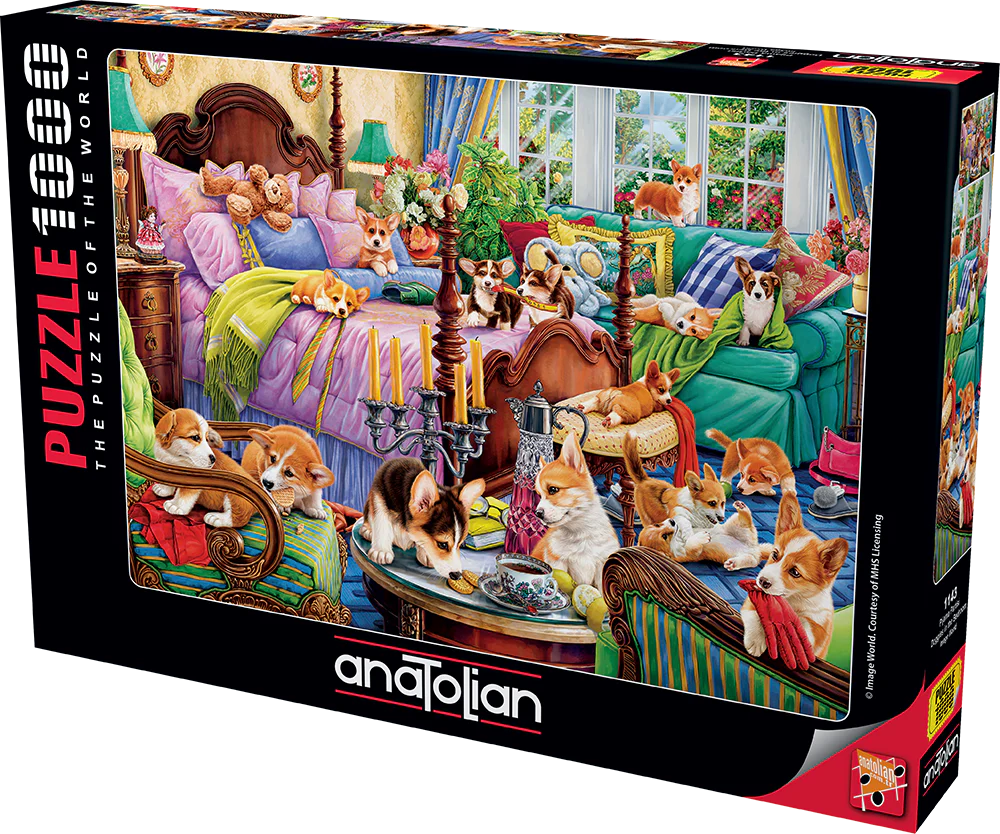 Anatolian - Des toutous dans la chambre
