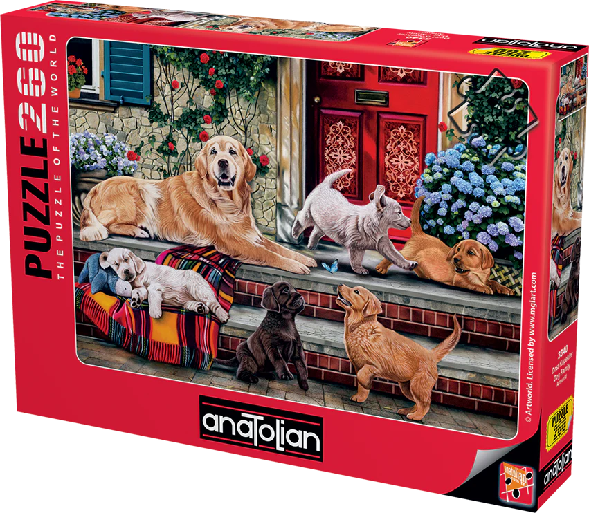 Anatolian - Famille de chiens