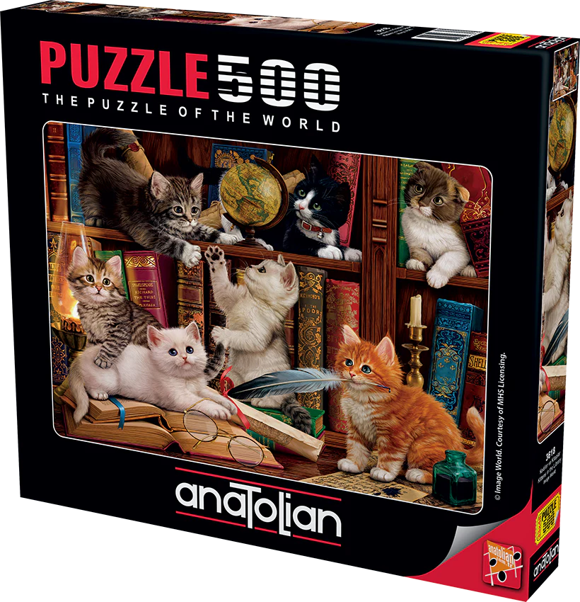 Anatolian - Les chatons de la bibliothèque