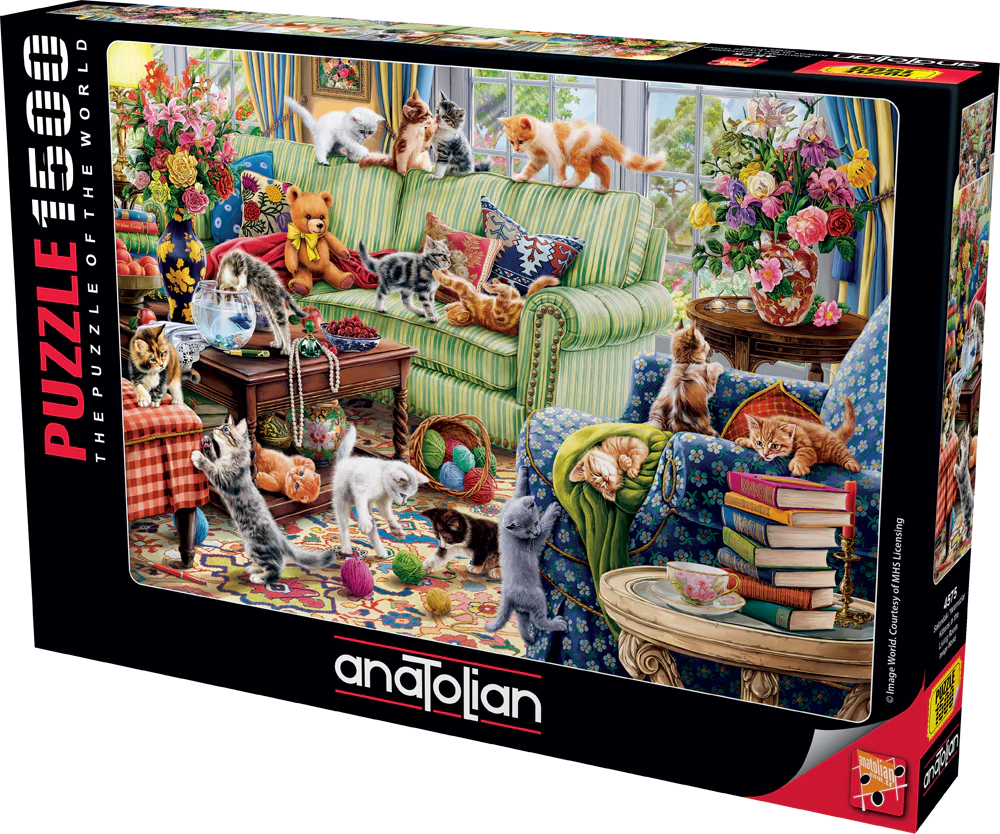 Anatolian - Des chatons dans le salon