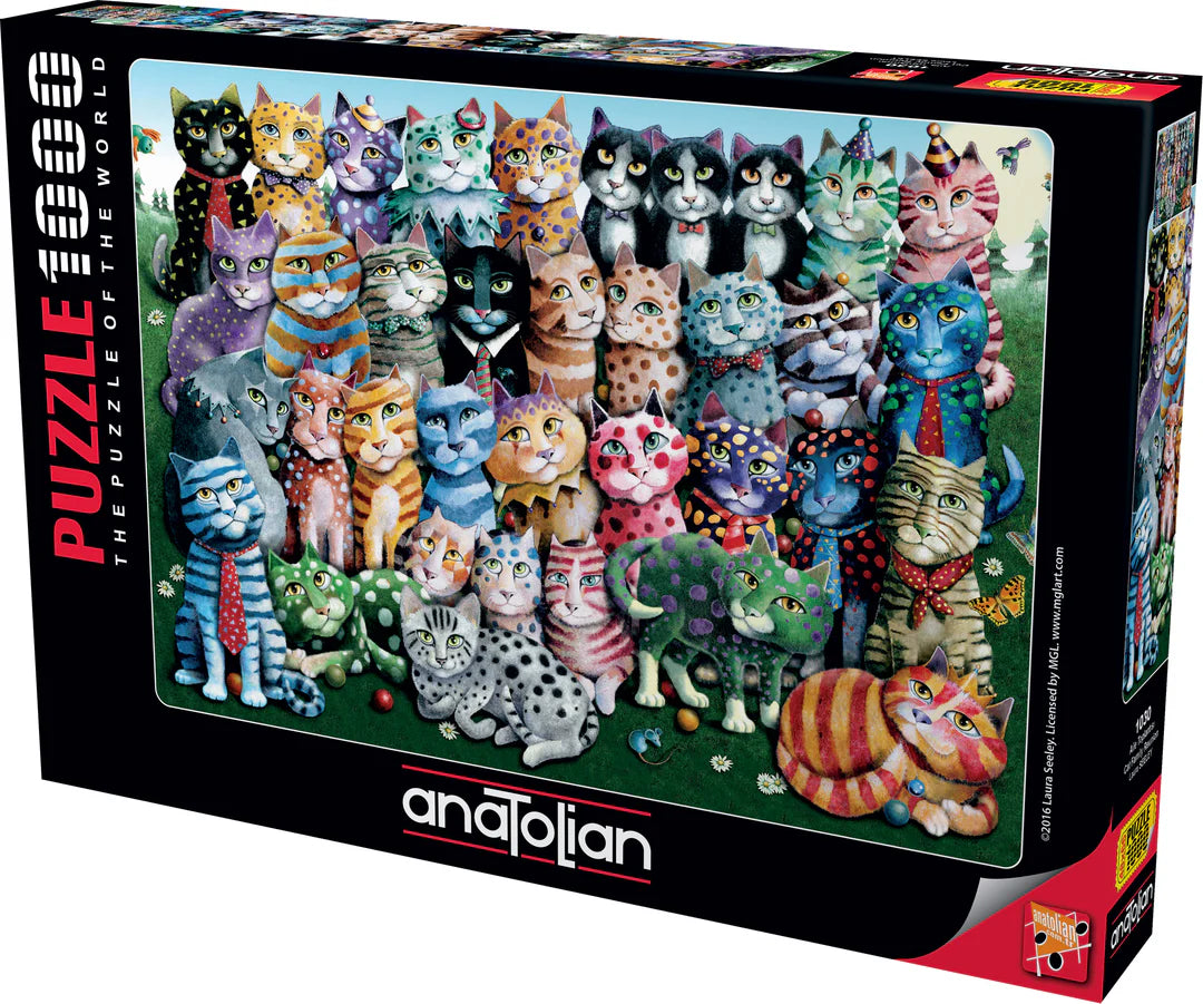 Anatolian - Réunion de famille de chats