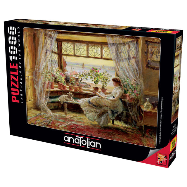 Anatolian - Reading by the window