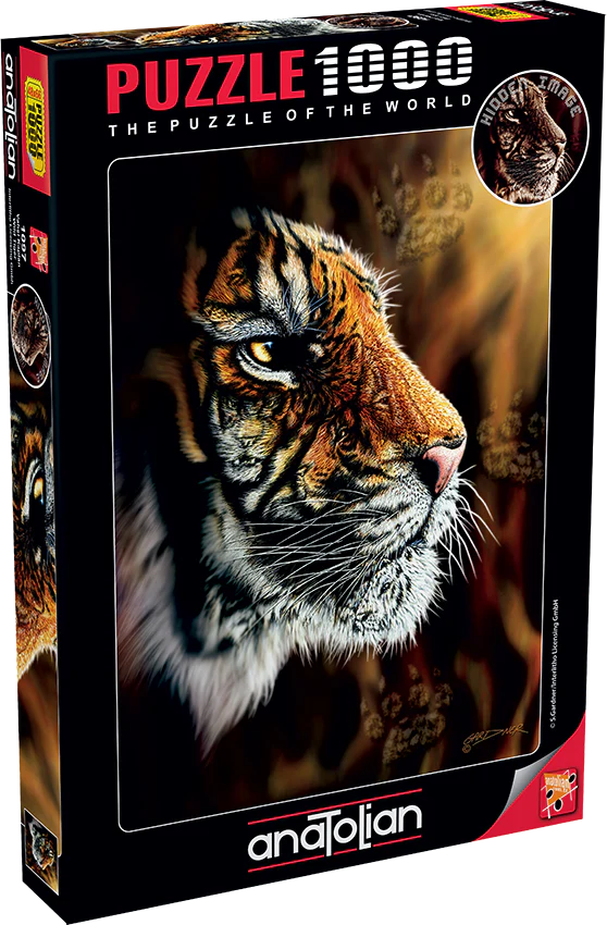 Anatolian - Tigre sauvage