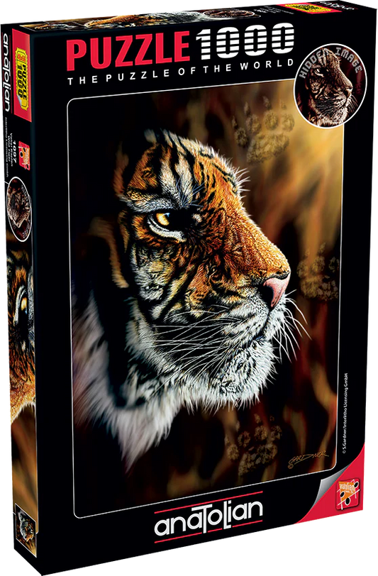 Anatolian - Wild tiger