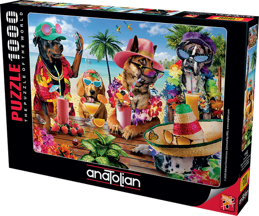 Anatolian - Chiens buvant des smoothies sur une plage tropicale