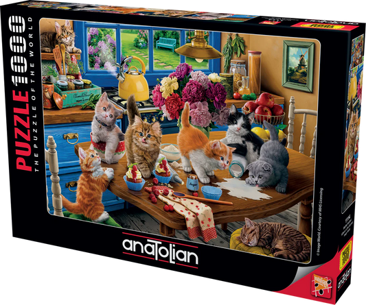 Anatolian - Chatons dans la cuisine