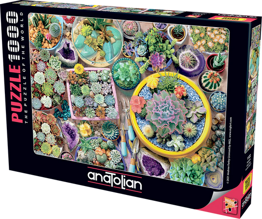 Anatolian - Pots à cactus