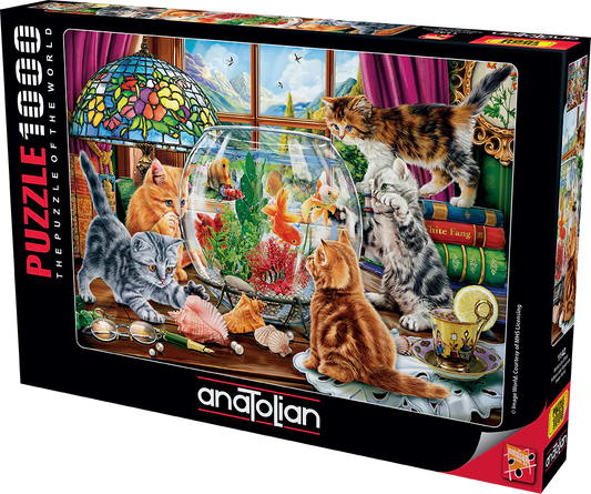 Anatolian - Chatons et aquarium