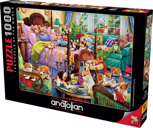 Anatolian - Des toutous dans la chambre