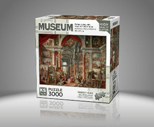 KS Games Picture Gallery with Views of Modern Rome