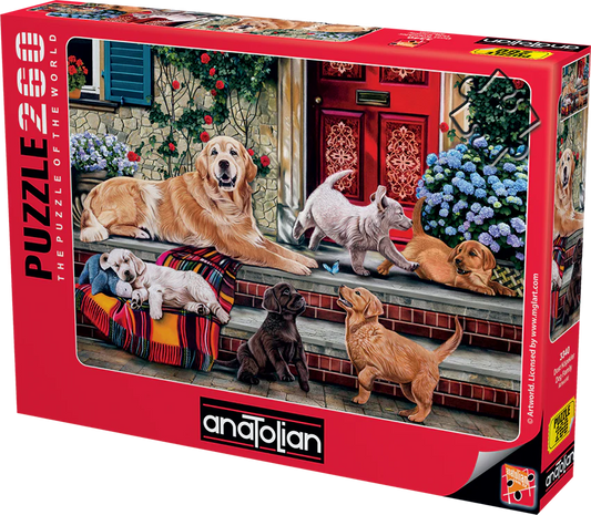 Anatolian - Famille de chiens