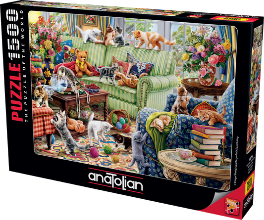 Anatolian - Des chatons dans le salon
