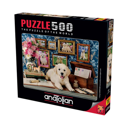 Anatolian -  labrador