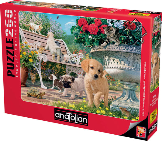 Anatolian - Cache-cache des animaux de compagnie
