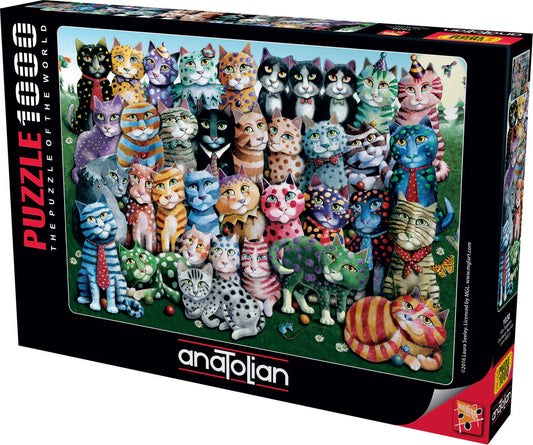 Anatolian - Réunion de famille de chats