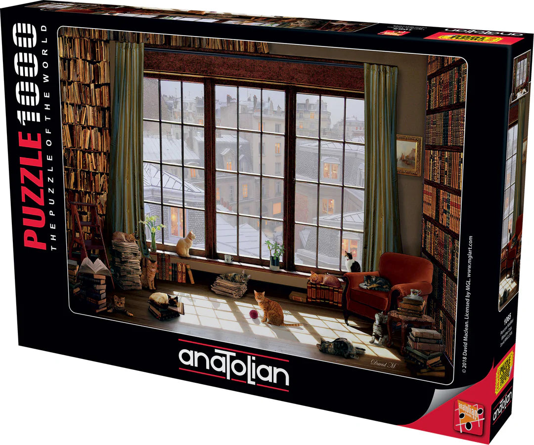 Anatolian - Window cats