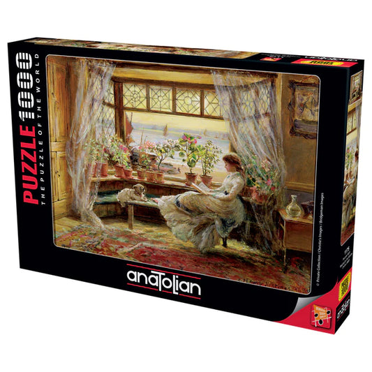 Anatolian -  Reading by the window