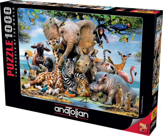 Anatolian - African Smile